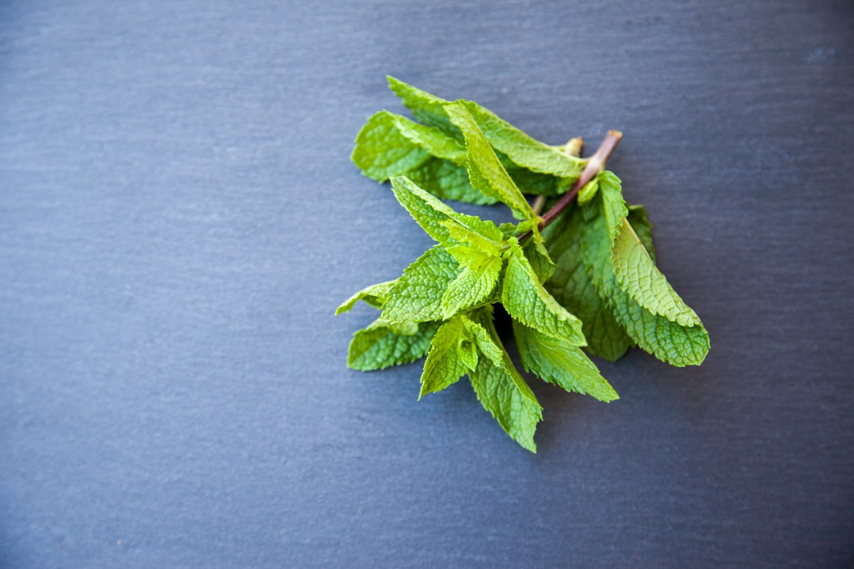 Golden Wellness Herbal Blend